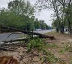 Невреме и пожари вчера попладне во Скопје, паднати над 30 дрвја, уништена и инфраструктура на ЕВН