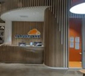 ТЕОРИИ НА ЗАГОВОР ВО САД го поврзаа денешниот прекин на работата на Cloudflare со гласањето за досиеата на Епштајн