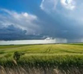 Доцни есенската сеидба на житни култури во Штипско-овчеполскиот регион