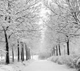 Србија под снег и голомразица: Вонредна состојба во повеќе општини, пристигнуваат нови врнежи