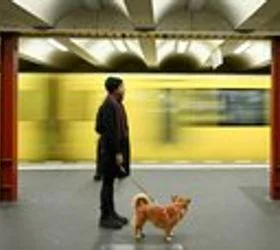 Штрајкови го блокираа јавниот превоз во Германија