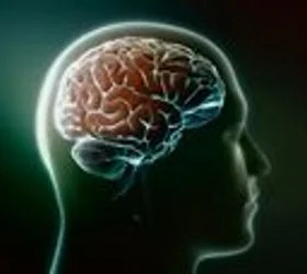 Македонија во документите на Епстин: „Извоз“ на мозоци во САД за истражување