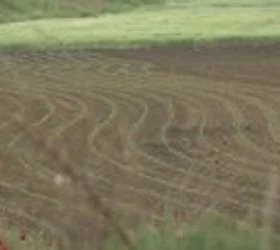 Филипче обвинува дека субвенциите за земјоделците се кратат за 40 милиони евра, Трипуновски негира