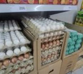 Поскап животот во февруари,синдикалната кошница 67 382 денари