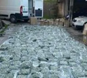 Запленет уште еден тон марихуана од фирма во валандовско