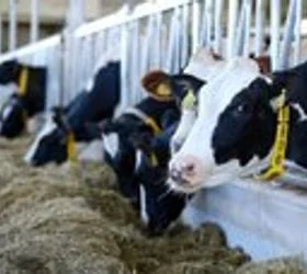 Наместо пари, сточарите добија празни зборови од министерот