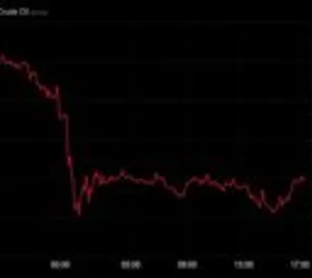 Цената на нафтата падна на 95 долари за барел